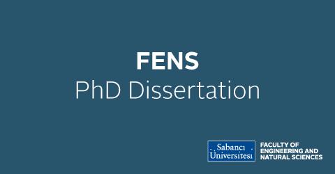 Ali shoeb phd thesis